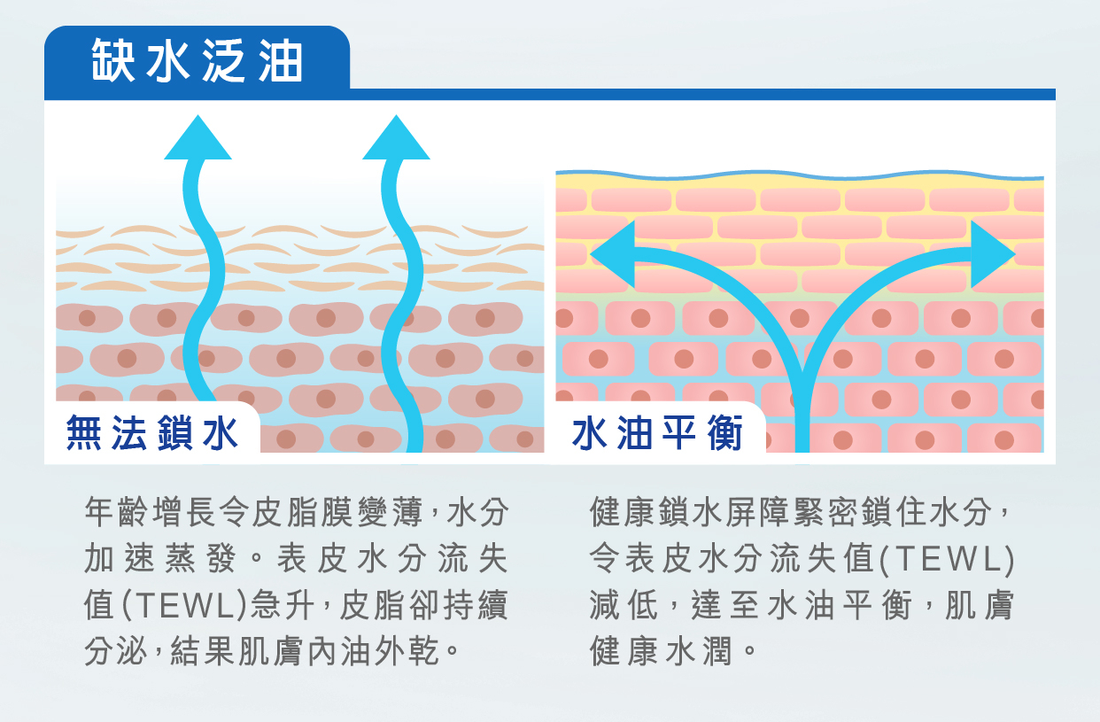Bicelle 全效維他命 B5 補濕霜_鎖水_水油不平衡_面油