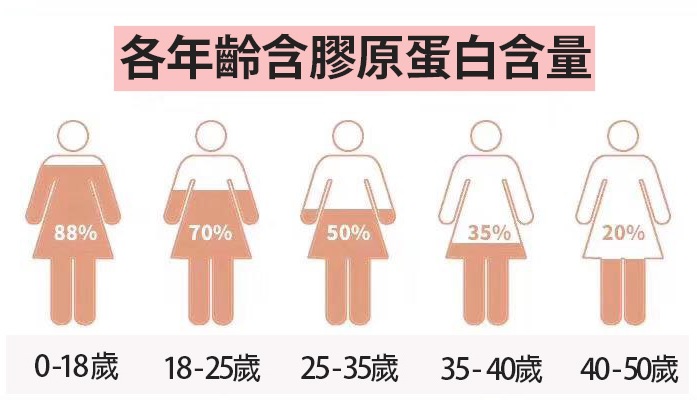  Endocare膠原小蝸牛_Endocare強效活肌修復精華SCA40_抗衰老_修復肌膚_抗老化_增加膠原蛋白_骨膠原_去紋_緊緻肌膚_肌膚鬆弛_提升_補充膠原_補充膠原方法_gratus
